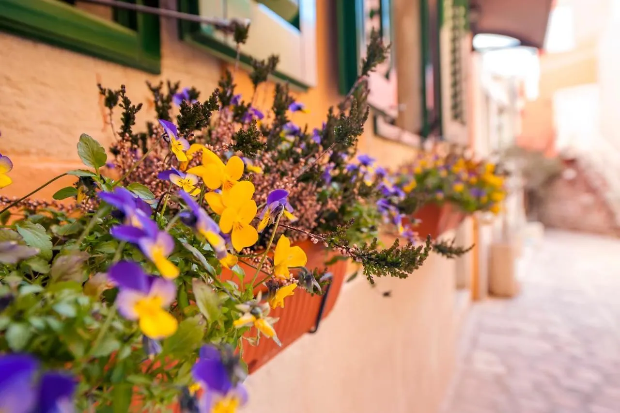 Guest House Sotto I Volti Centro Storico Rovinj